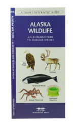 Alaska Wildlife - A Pocket Naturalist Guide