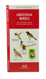 Arizona Birds - A Pocket Naturalist Guide