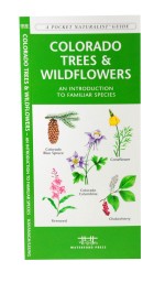 Colorado Trees & Wildflowers - A Pocket Naturalist Guide
