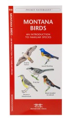 Montana Birds - A Pocket Naturalist Guide