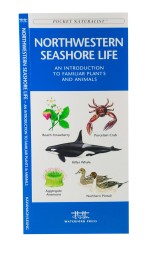 Northwestern Seashore Life - A Pocket Naturalist Guide