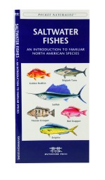 Fish, Bird, Wildlife