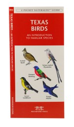 Texas Birds - A Pocket Naturalist Guide