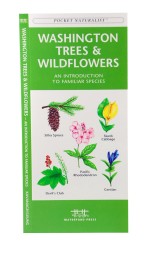 Washington State Trees & Wildflowers - A Pocket Naturalist Guide