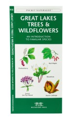 Great Lakes Trees & Wildflowers - A Pocket Naturalist Guide