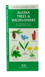 Alaska Trees & Wildflowers - A Pocket Naturalist Guide