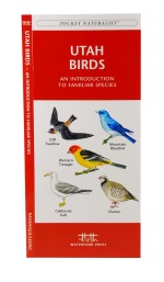 Utah Birds - A Pocket Naturalist Guide