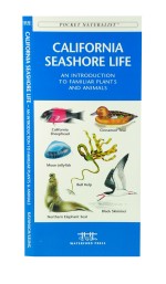 California Seashore Life - A Pocket Naturalist Guide
