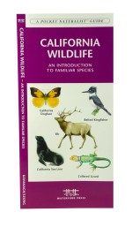 California Wildlife - A Pocket Naturalist Guide