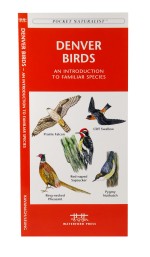 Denver Birds - A Pocket Naturalist Guide