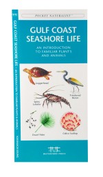 Gulf Coast Seashore Life - A Pocket Naturalist Guide