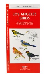 Los Angeles Birds - A Pocket Naturalist Guide