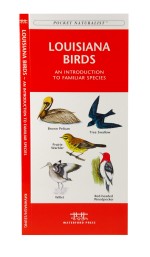 Louisiana Birds - A Pocket Naturalist Guide