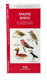 Maine Birds - A Pocket Naturalist Guide