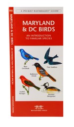 Maryland & DC Birds - A Pocket Naturalist Guide