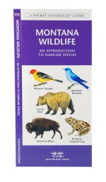 Montana Wildlife - A Pocket Naturalist Guide