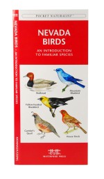 Nevada Birds - A Pocket Naturalist Guide