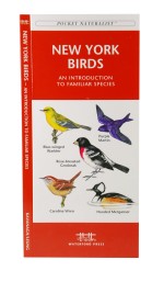 New York State Birds - A Pocket Naturalist Guide