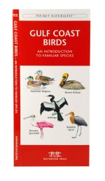 Gulf Coast Birds - A Pocket Naturalist Guide