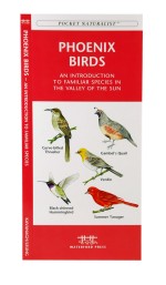Phoenix Birds - A Pocket Naturalist Guide