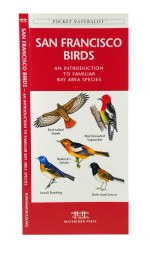 San Francisco Birds - A Pocket Naturalist Guide