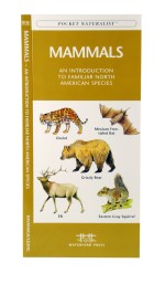 Mammals