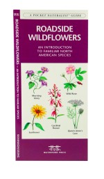 Roadside Wildflowers - A Pocket Naturalist Guide