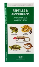 Reptiles & Amphibians