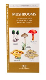 Mushrooms