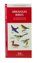 Arkansas Birds - A Pocket Naturalist Guide