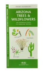 Arizona Trees & Wildflowers - A Pocket Naturalist Guide