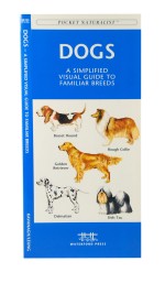 Domestic Animals
