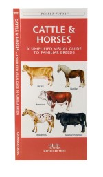 Cattle & Horses - A Pocket Naturalist Guide