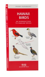 Hawaii Birds - A Pocket Naturalist Guide