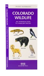Colorado Wildlife - A Pocket Naturalist Guide