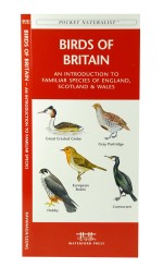 Birds of Britain - A Pocket Naturalist Guide