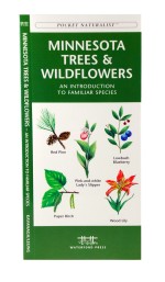 Minnesota Trees & Wildflowers - A Pocket Naturalist Guide