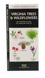 Virginia Trees & Wildflowers - A Pocket Naturalist Guide