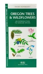 Oregon Trees & Wildflowers - A Pocket Naturalist Guide