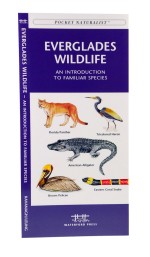 Everglades Wildlife - A Pocket Naturalist Guide