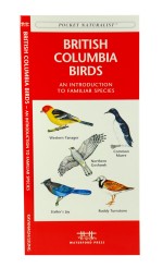 British Columbia Birds - A Pocket Naturalist Guide