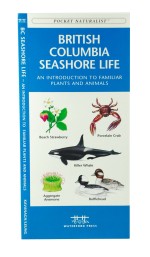British Columbia Seashore Life - A Pocket Naturalist Guide