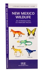 New Mexico Wildlife - A Pocket Naturalist Guide