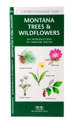 Montana Trees & Wildflowers - A Pocket Naturalist Guide