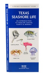 Texas Seashore Life - A Pocket Naturalist Guide