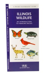 Illinois Wildlife - A Pocket Naturalist Guide