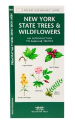 New York State Trees & Wildflowers - A Pocket Naturalist Guide