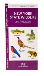 New York State Wildlife - A Pocket Naturalist Guide