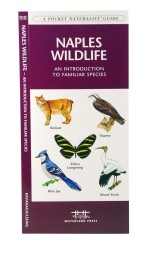 Naples Wildlife - A Pocket Naturalist Guide