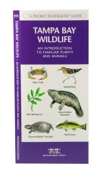 Tampa Bay Wildlife - A Pocket Naturalist Guide
